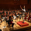 Concerto Under 13