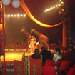 Circo Medrano